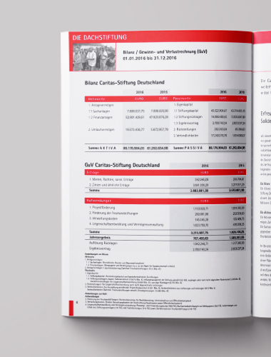 CARITAS FOUNDATION  _  ANNUAL REPORT